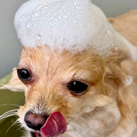 画像2019