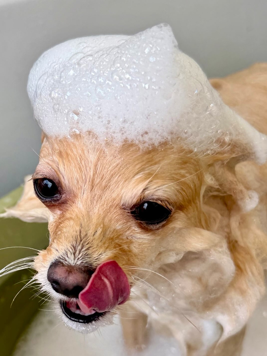 画像2019