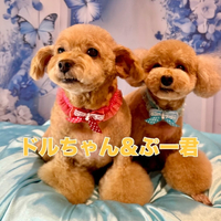 画像2036