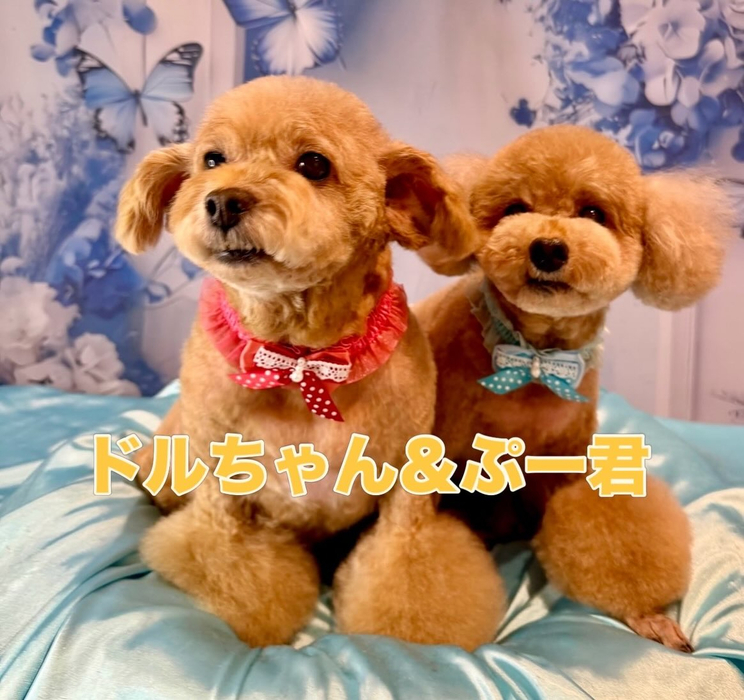 画像2036