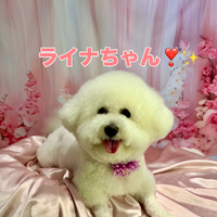 画像2062