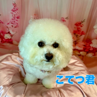 画像2101