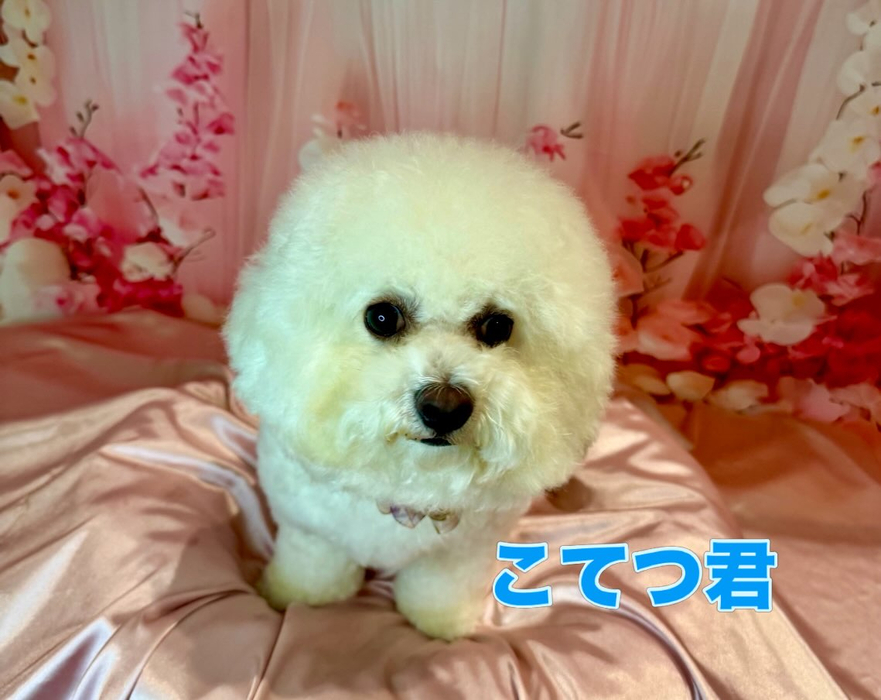 画像2101