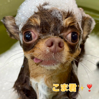 画像2106