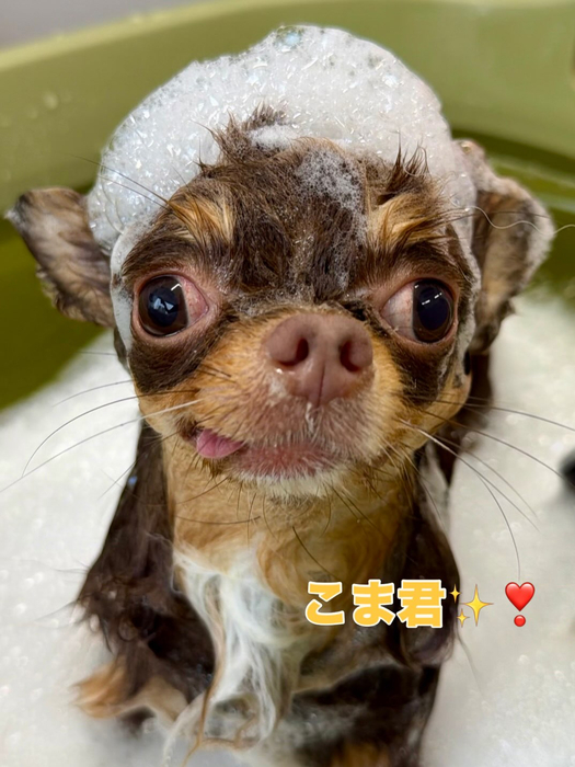 画像2106