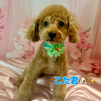 画像2111