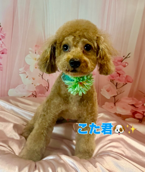 画像2111