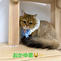画像2115