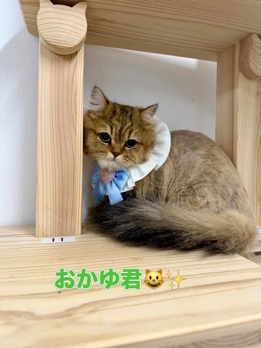 画像2115