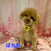 画像2119