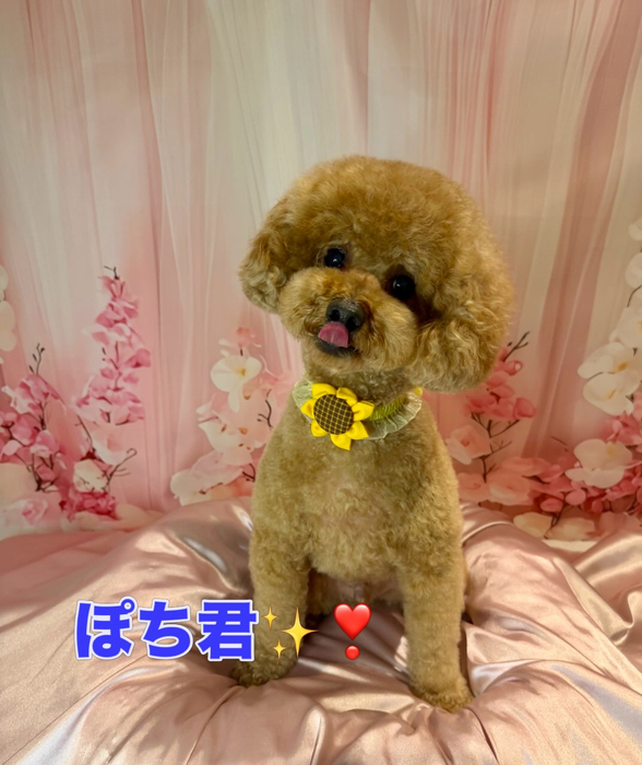 画像2119