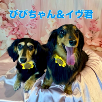 画像2123