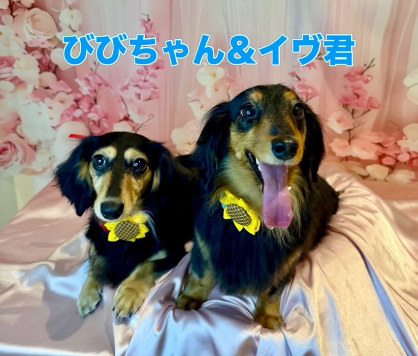 画像2123