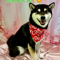 画像2134