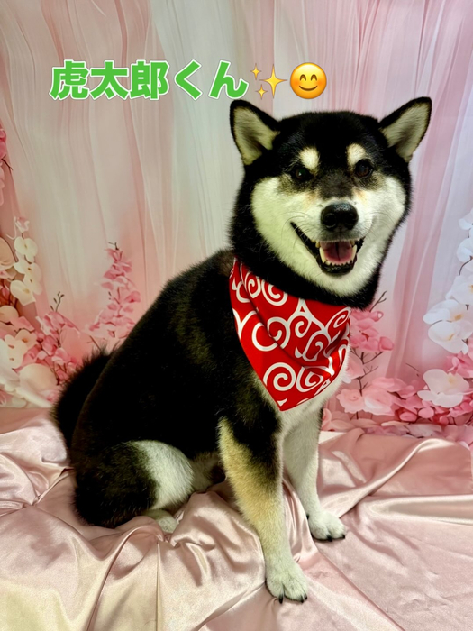 画像2134