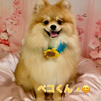 画像2143