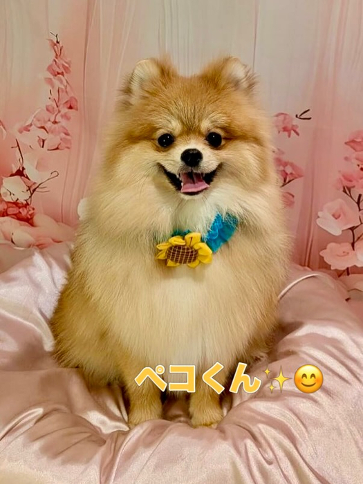 画像2143