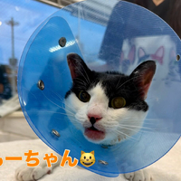 画像2158