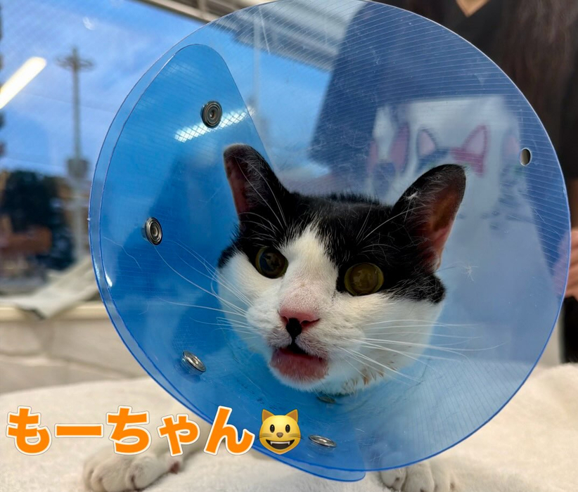 画像2158
