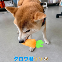 画像2169