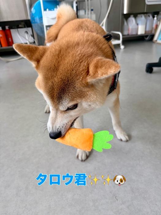 画像2169