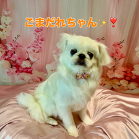 画像2201