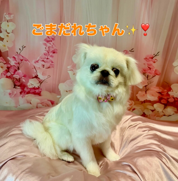 画像2201