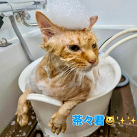 画像2211