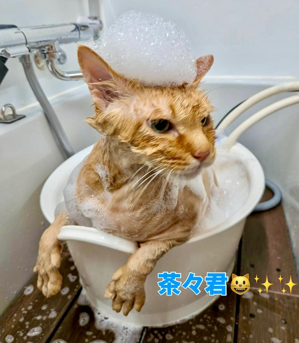 画像2211
