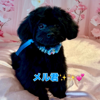 画像2227