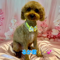 画像2240