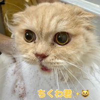 画像2244