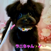 画像2305