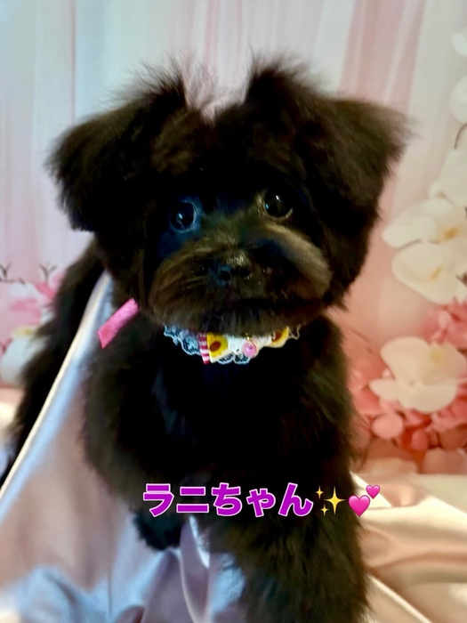 画像2305