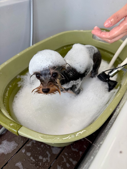 画像2343