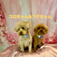 画像2369