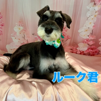 画像2377