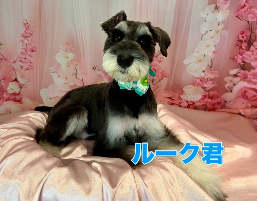 画像2377