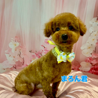 画像2394
