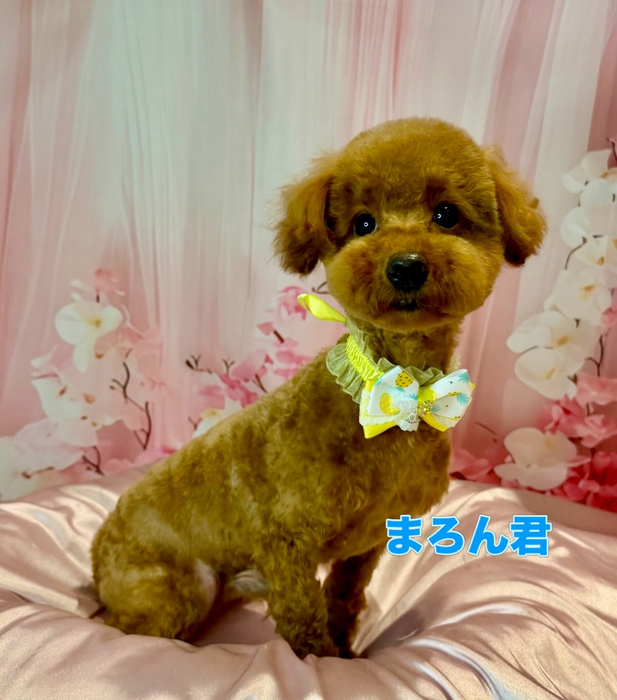 画像2394