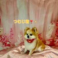 画像2402