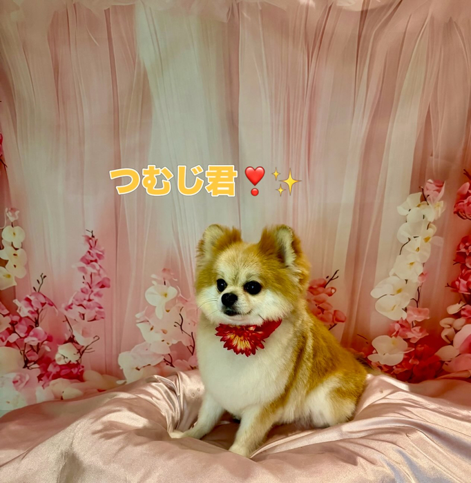 画像2402