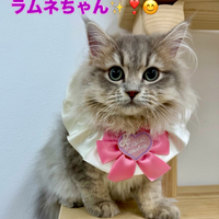 画像2426