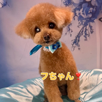 画像2473