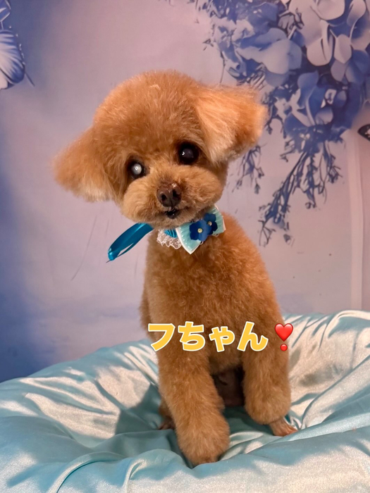 画像2473