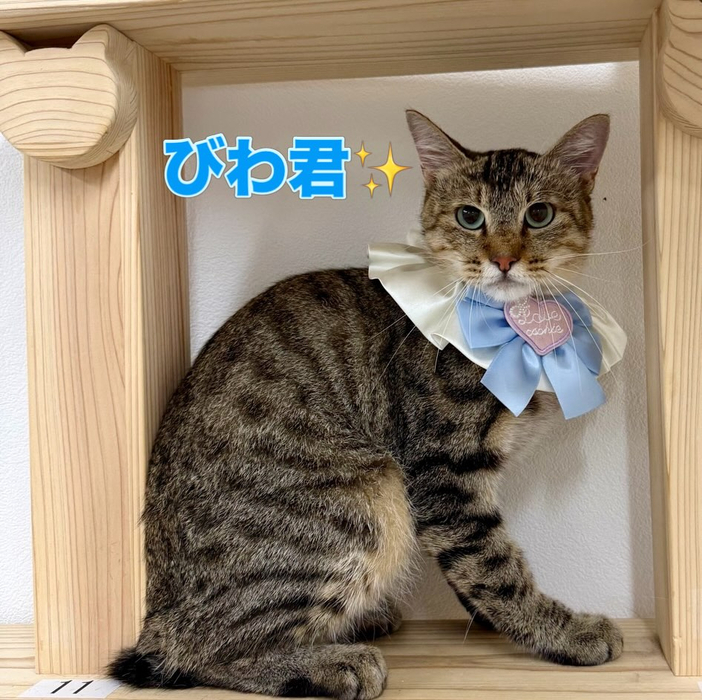 画像2481