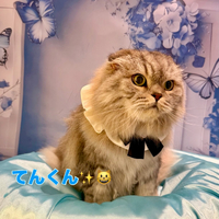 画像2485