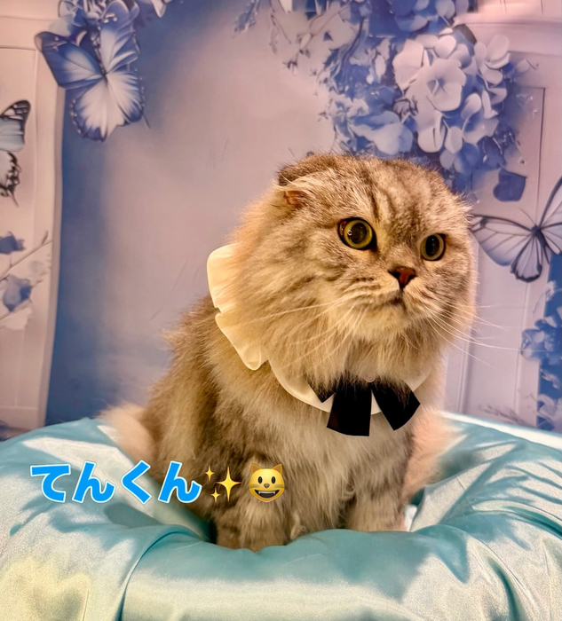 画像2485