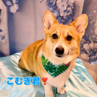 画像2503