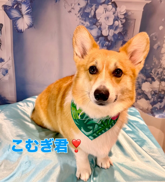 画像2503